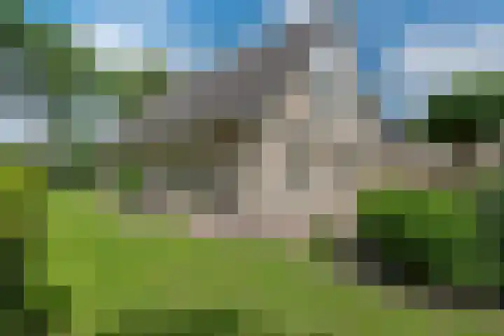Hoekweid 2 Bergen (NH) thumbnail 27