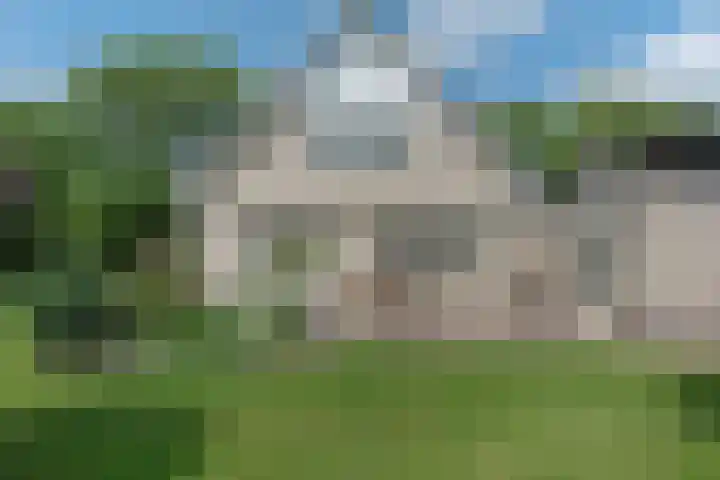 Hoekweid 2 Bergen (NH) thumbnail 28