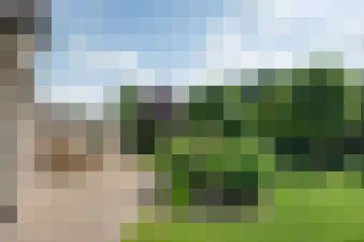 Hoekweid 2 Bergen (NH) thumbnail 29