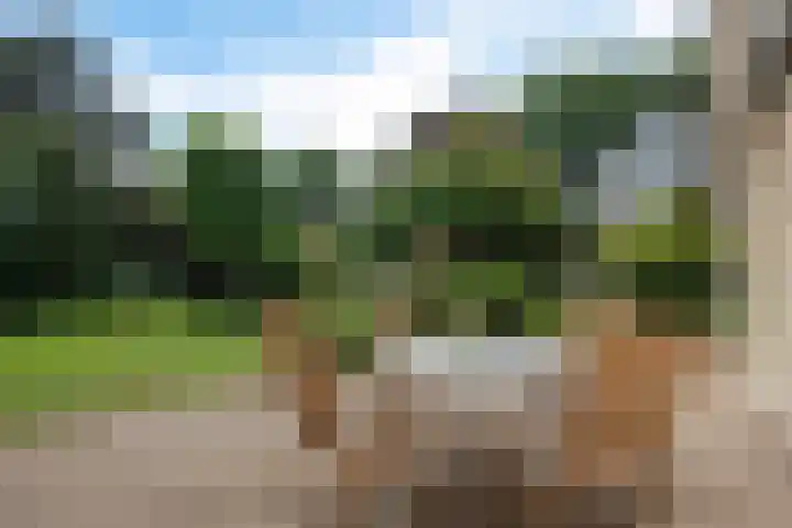 Hoekweid 2 Bergen (NH) thumbnail 30