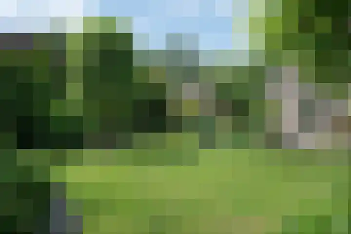 Hoekweid 2 Bergen (NH) thumbnail 31