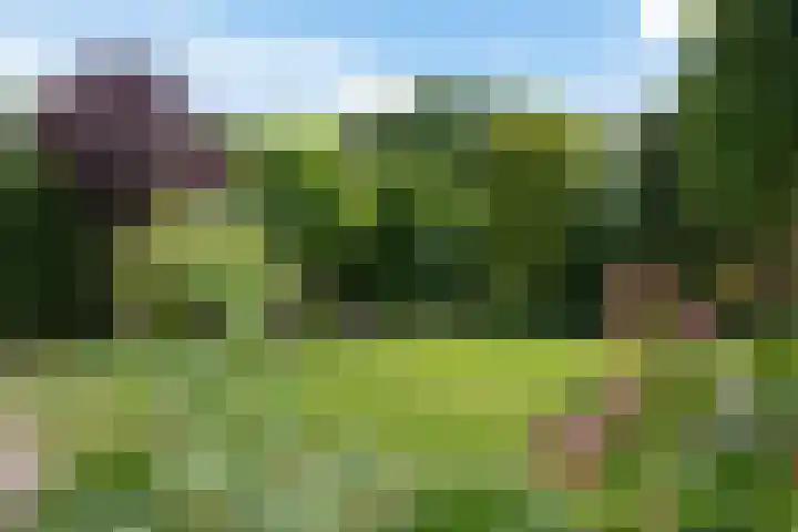 Hoekweid 2 Bergen (NH) thumbnail 32