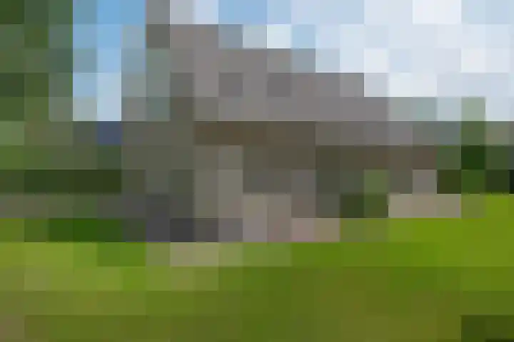 Hoekweid 2 Bergen (NH) thumbnail 33