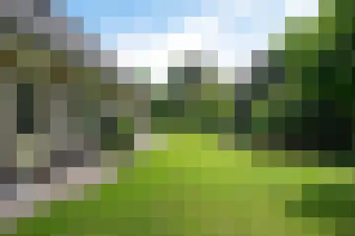 Hoekweid 2 Bergen (NH) thumbnail 34