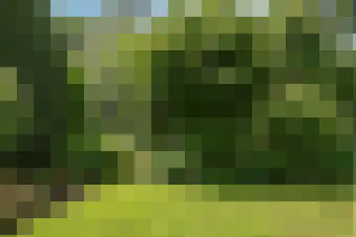 Hoekweid 2 Bergen (NH) thumbnail 35