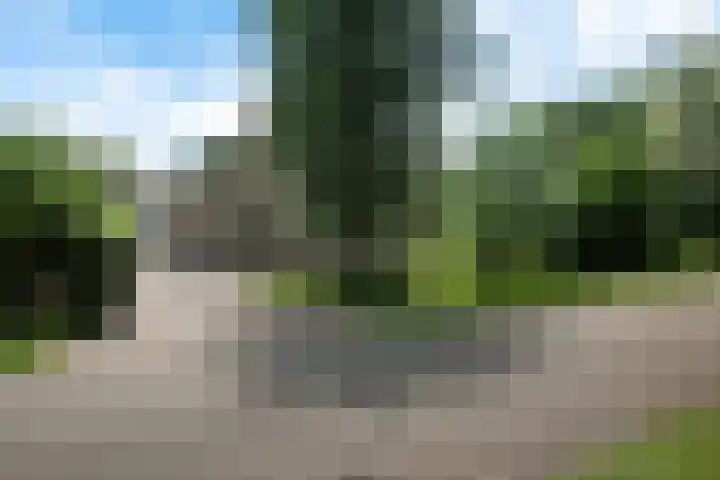 Hoekweid 2 Bergen (NH) thumbnail 36