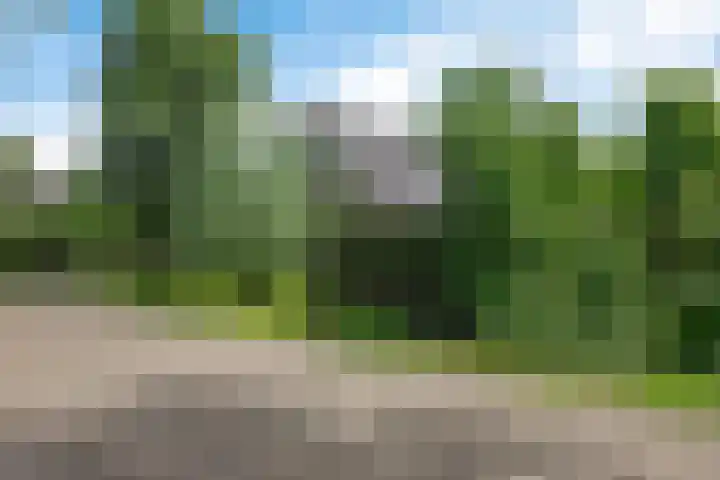 Hoekweid 2 Bergen (NH) thumbnail 37
