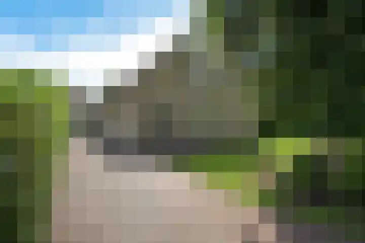 Hoekweid 2 Bergen (NH) thumbnail 4