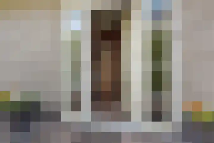 Hoekweid 2 Bergen (NH) thumbnail 5