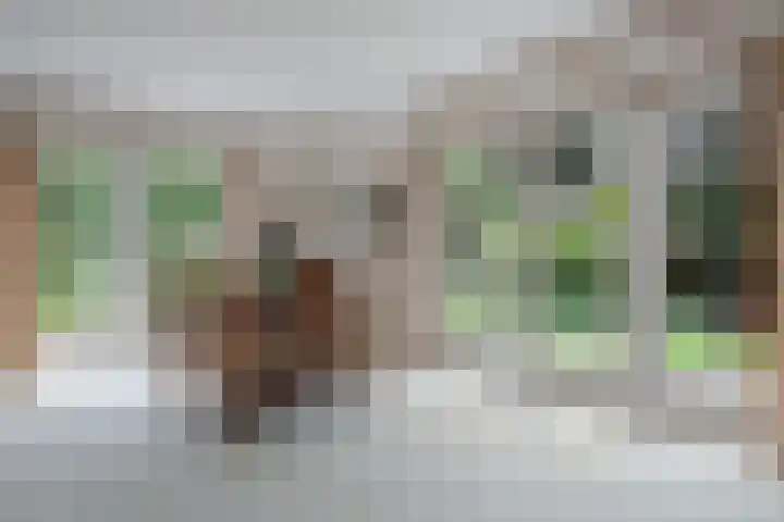 Hoekweid 2 Bergen (NH) thumbnail 7