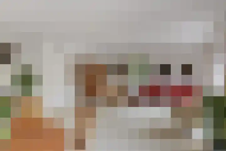 Hoekweid 2 Bergen (NH) thumbnail 8