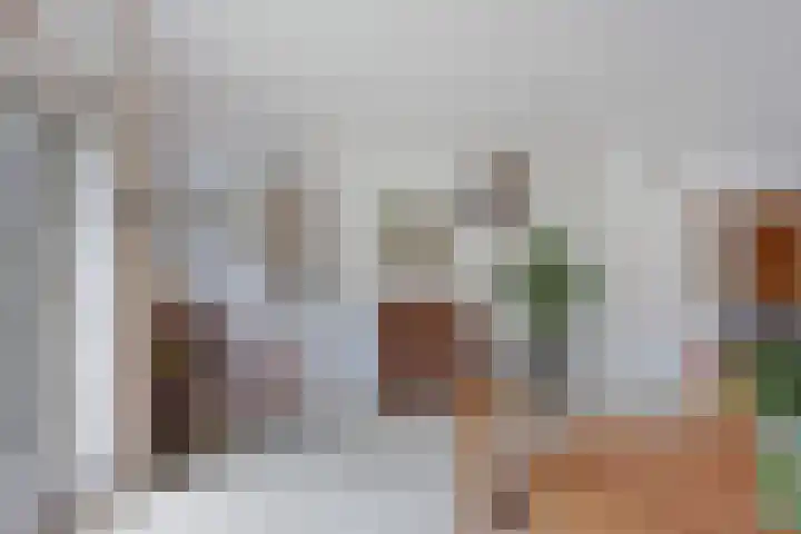 Hoekweid 2 Bergen (NH) thumbnail 9