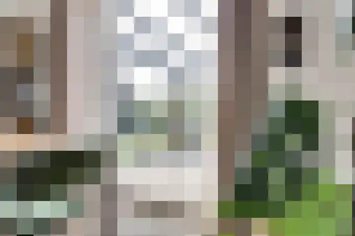 Hoekweide 4 Wolphaartsdijk thumbnail 10