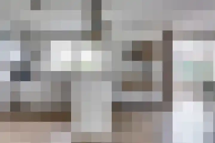 Hoekweide 4 Wolphaartsdijk thumbnail 12