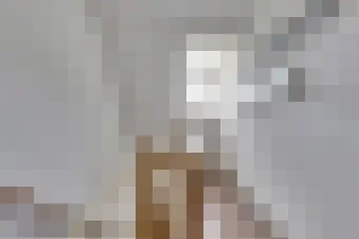 Hoekweide 4 Wolphaartsdijk thumbnail 22