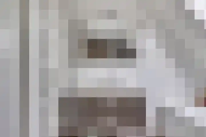 Hoekweide 4 Wolphaartsdijk thumbnail 31