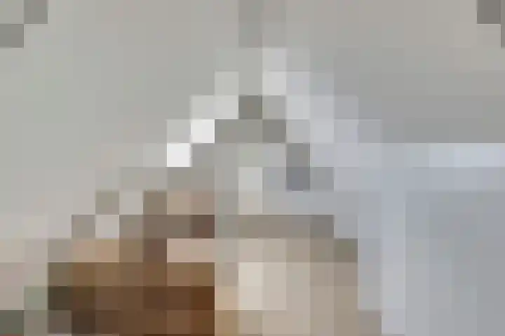 Hoekweide 4 Wolphaartsdijk thumbnail 33