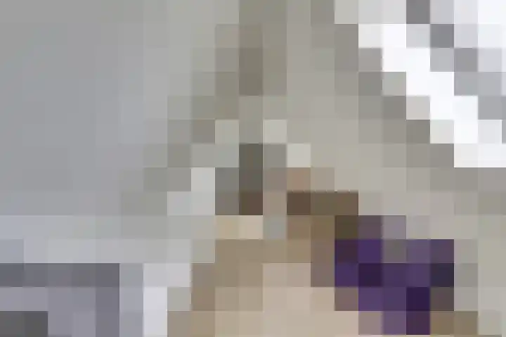 Hoekweide 4 Wolphaartsdijk thumbnail 34