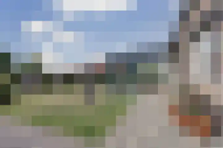 Hoekweide 4 Wolphaartsdijk thumbnail 39
