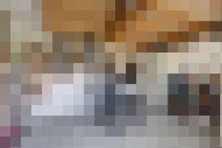 Hoekweide 4 Wolphaartsdijk thumbnail 42