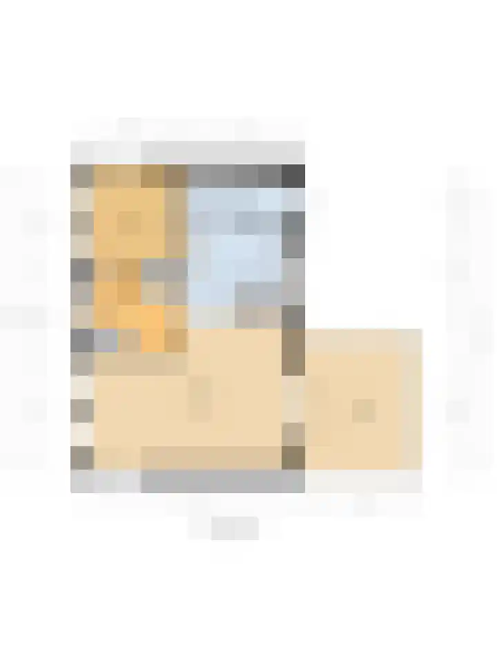 Hoekweide 4 Wolphaartsdijk thumbnail 52