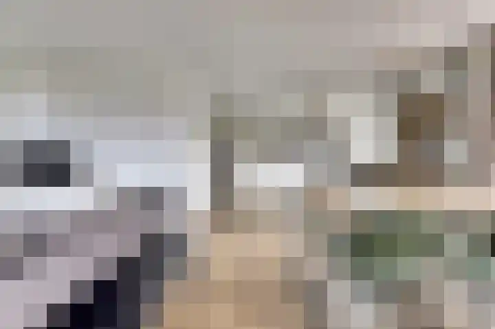 Hoekweide 4 Wolphaartsdijk thumbnail 6