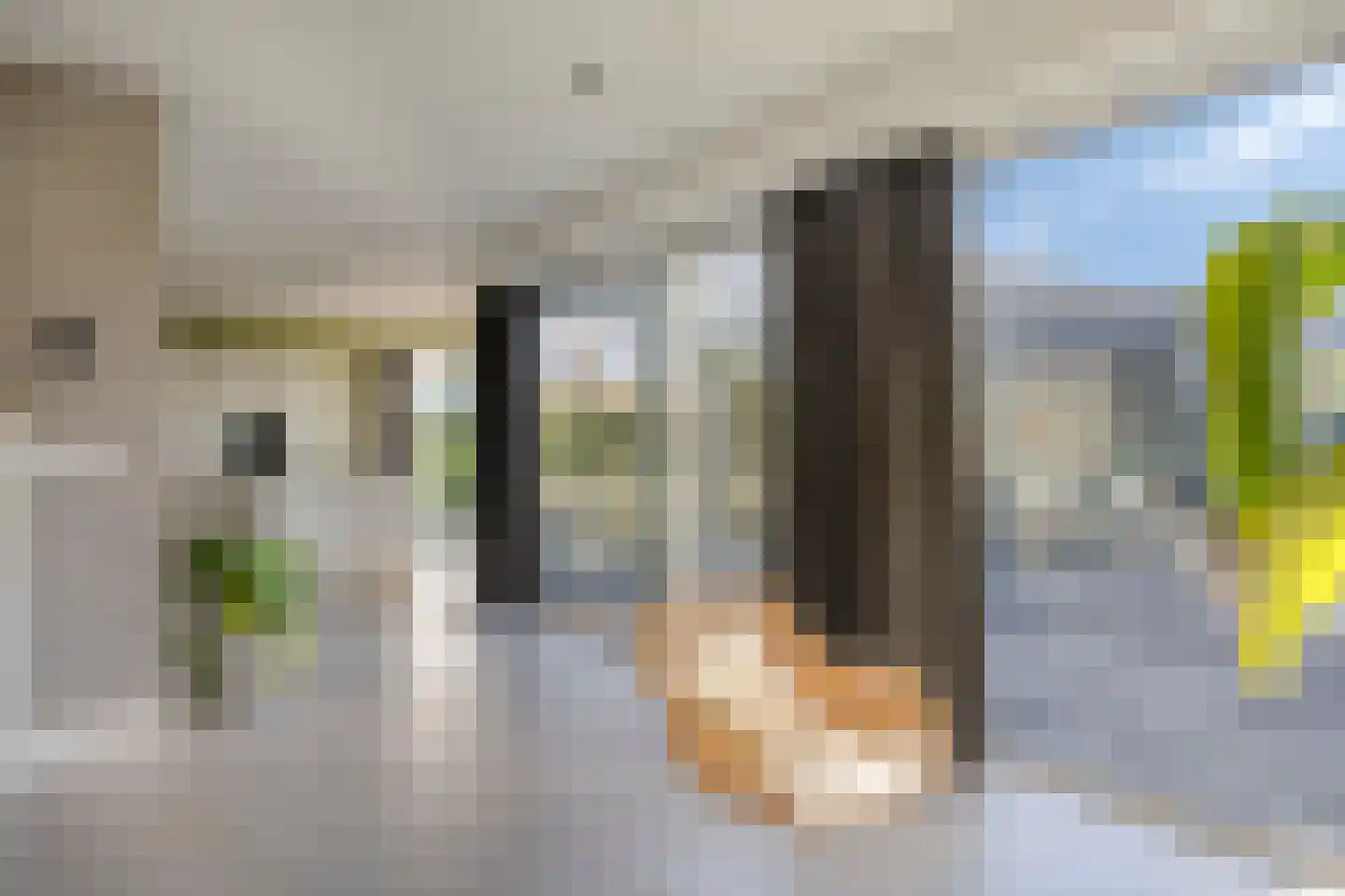 Hoekweide 8 Wolphaartsdijk thumbnail 10