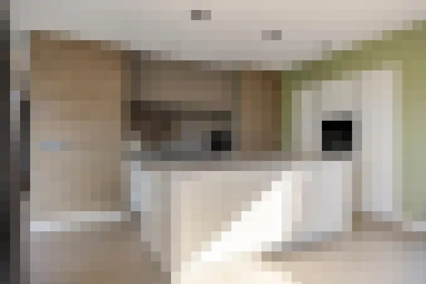 Hoekweide 8 Wolphaartsdijk thumbnail 12