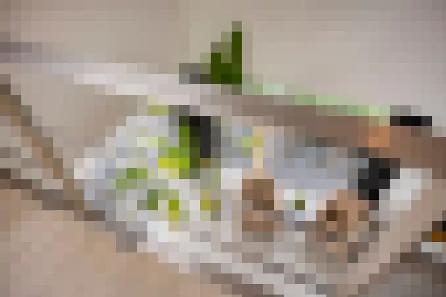 Hoekweide 8 Wolphaartsdijk thumbnail 32