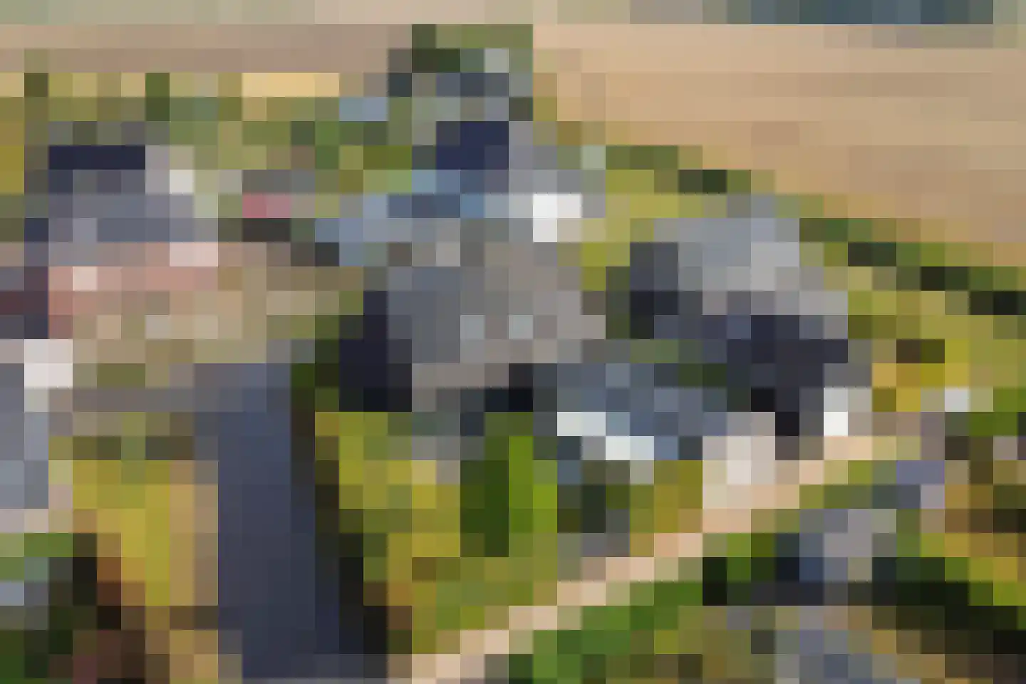 Hoekweide 8 Wolphaartsdijk thumbnail 46