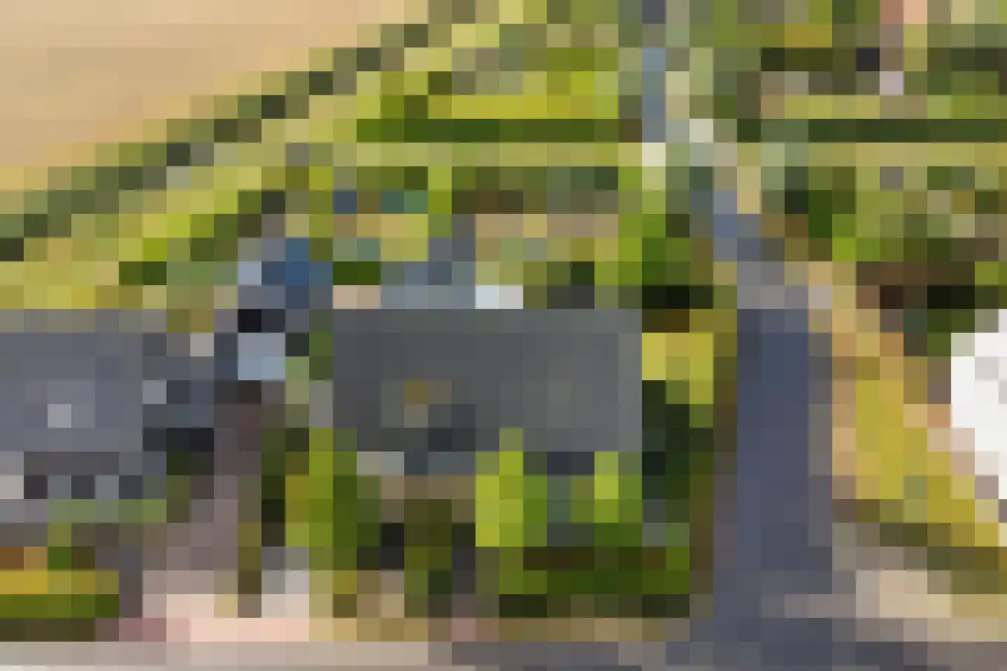 Hoekweide 8 Wolphaartsdijk thumbnail 47