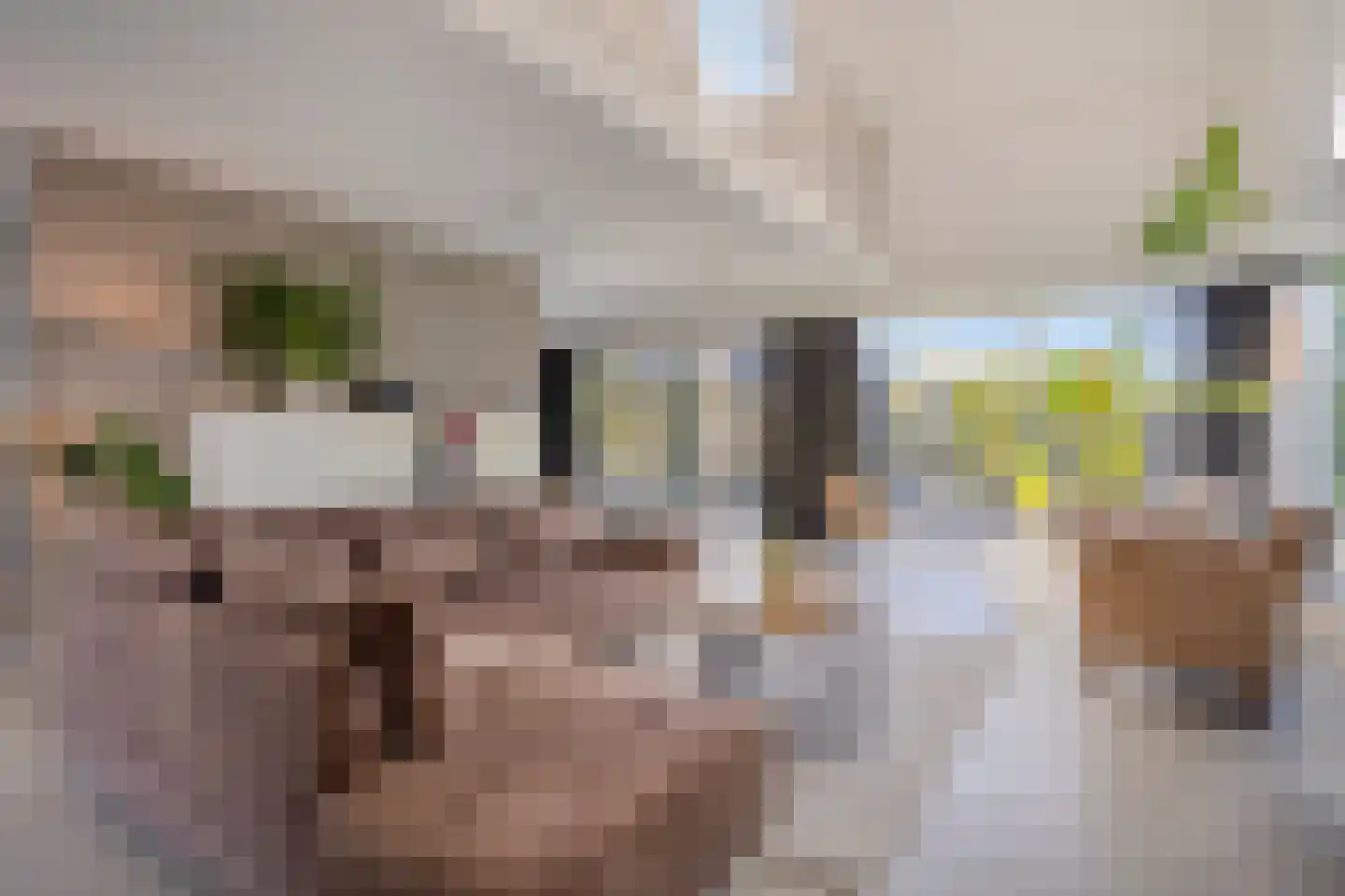 Hoekweide 8 Wolphaartsdijk thumbnail 8