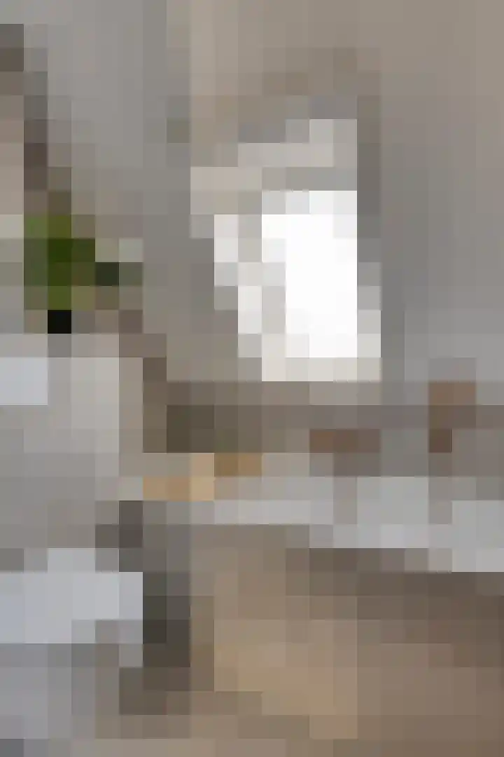 Hoekwierde 21 Almere thumbnail 26