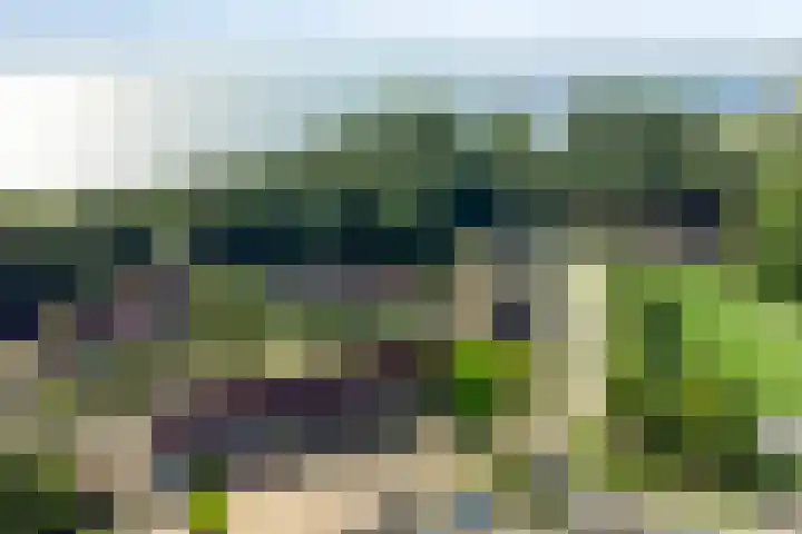 Hoekwierde 21 Almere thumbnail 35