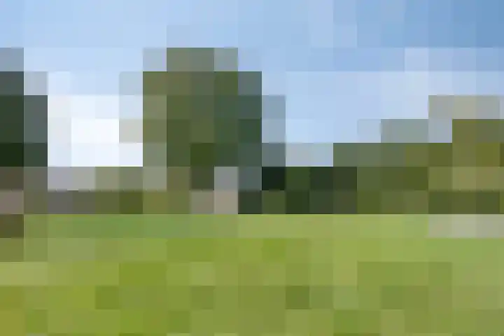 Hoekwierde 21 Almere thumbnail 38