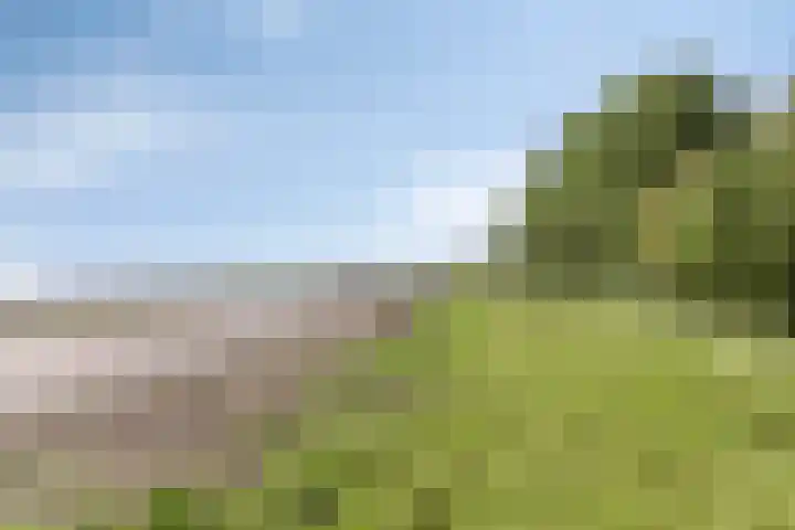 Hoekwierde 21 Almere thumbnail 39