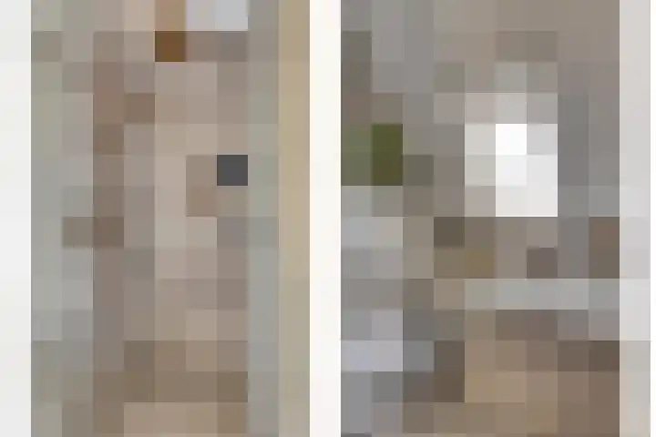 Hoekwierde 21 Almere thumbnail 5