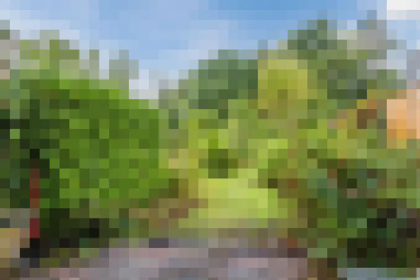 Hoekwierde 47 Almere thumbnail 31