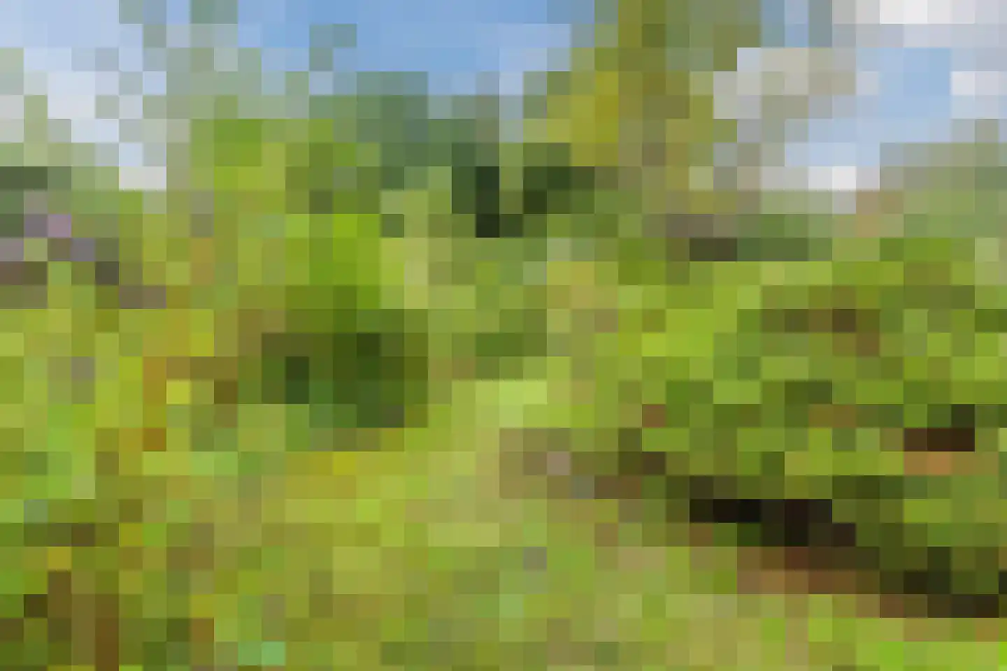 Hoekwierde 47 Almere thumbnail 32