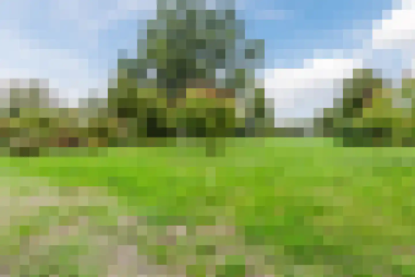 Hoekwierde 47 Almere thumbnail 36