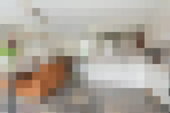 Hoenderakkerstraat 14 Veldhoven thumbnail 15