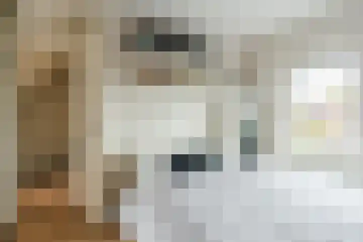 Hoenderakkerstraat 14 Veldhoven thumbnail 18