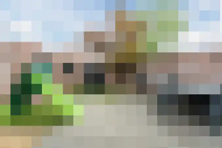 Hoenderakkerstraat 14 Veldhoven thumbnail 25
