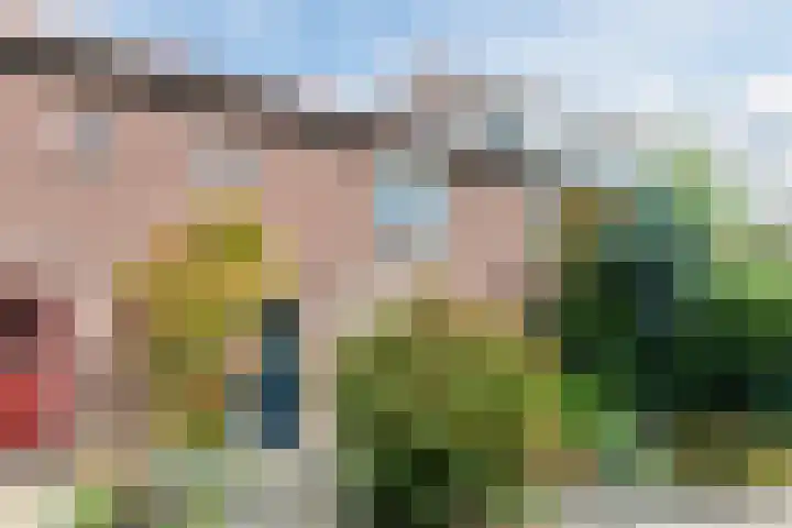 Hoenderakkerstraat 14 Veldhoven thumbnail 4