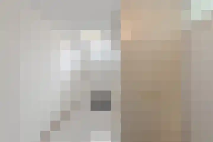Hoenderberg 16 Roosendaal thumbnail 27