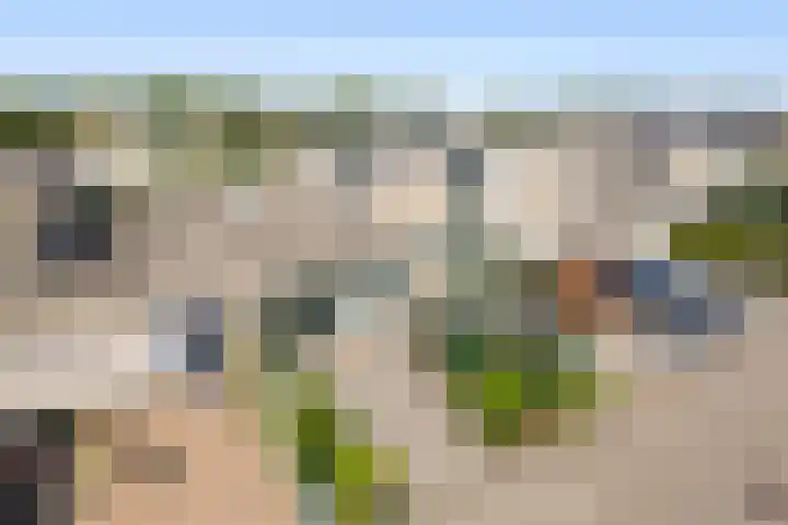 Hoenderberg 16 Roosendaal thumbnail 33