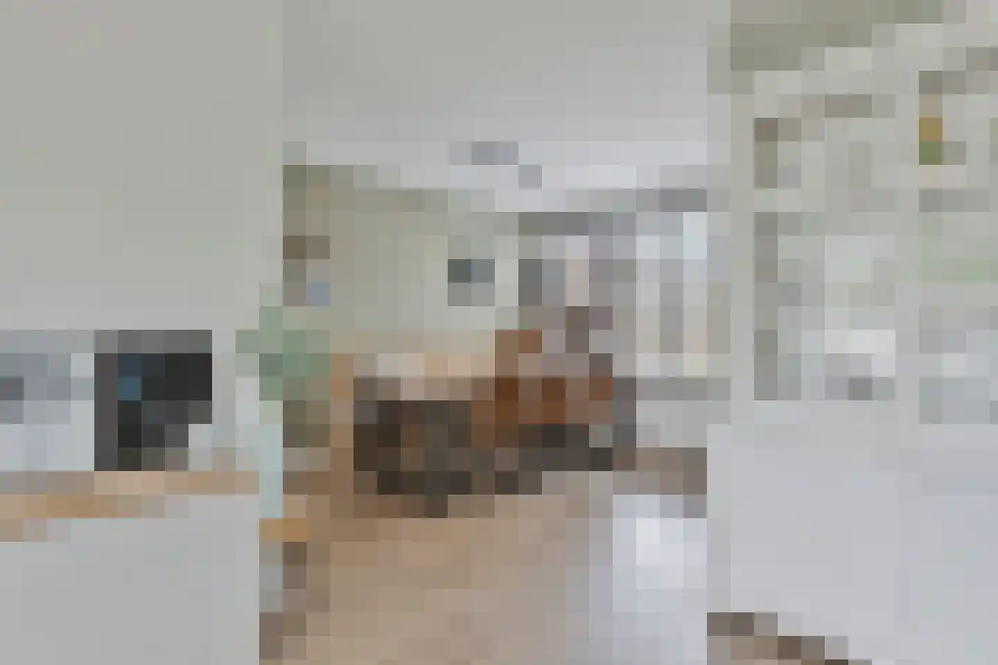Hoenderberglaan 23 Eindhoven thumbnail 12