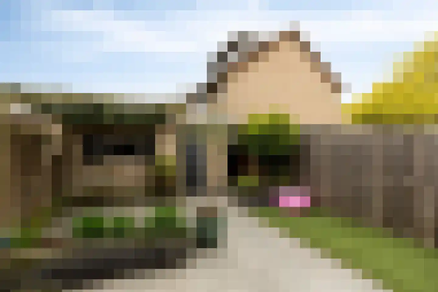 Hoenderberglaan 23 Eindhoven thumbnail 38