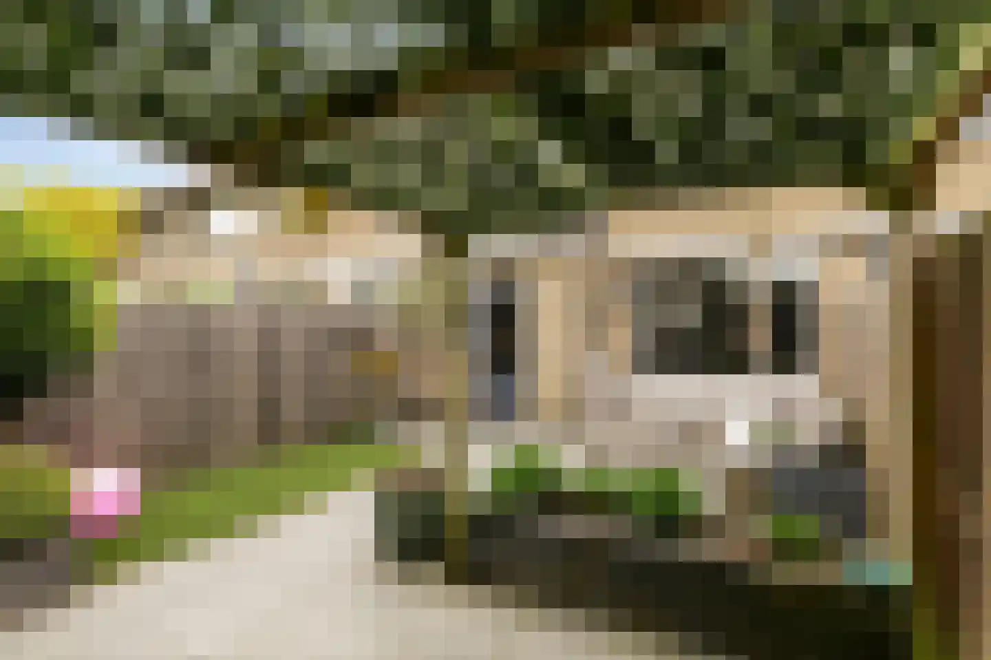 Hoenderberglaan 23 Eindhoven thumbnail 39