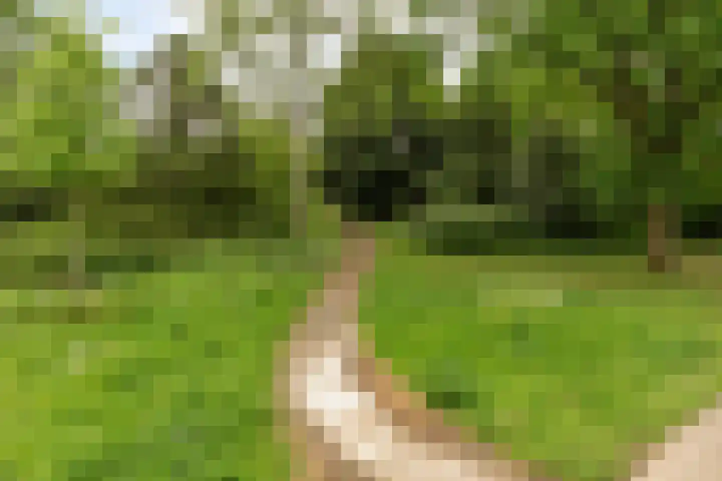 Hoenderberglaan 23 Eindhoven thumbnail 42